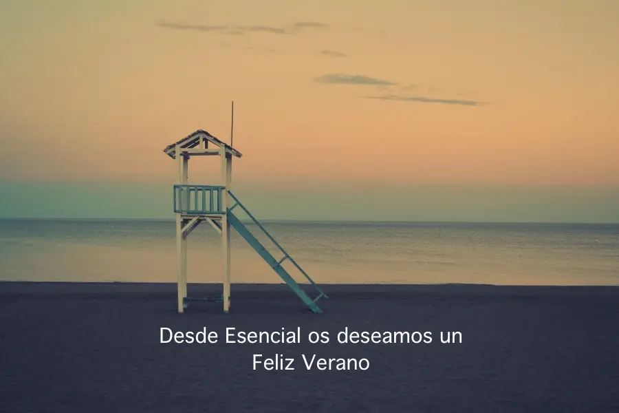 Cinco consejos para mantener activas las redes sociales de tu empresa este verano