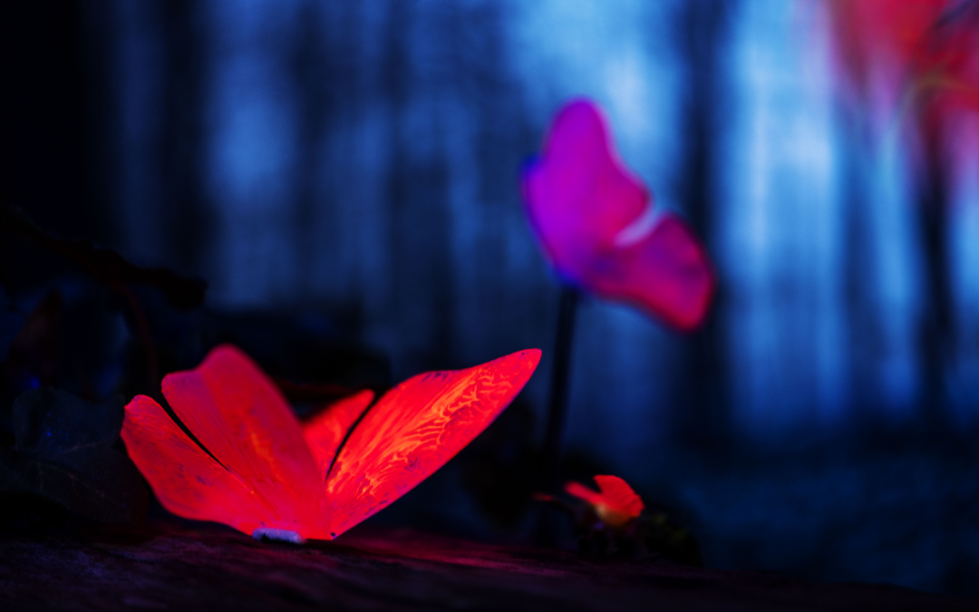 Sostenibilidad empresarial consciente